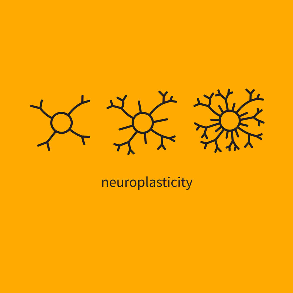 3 neurons on orange background with varying synapes